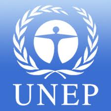 UNEP calls for a rethink of current recycling practices