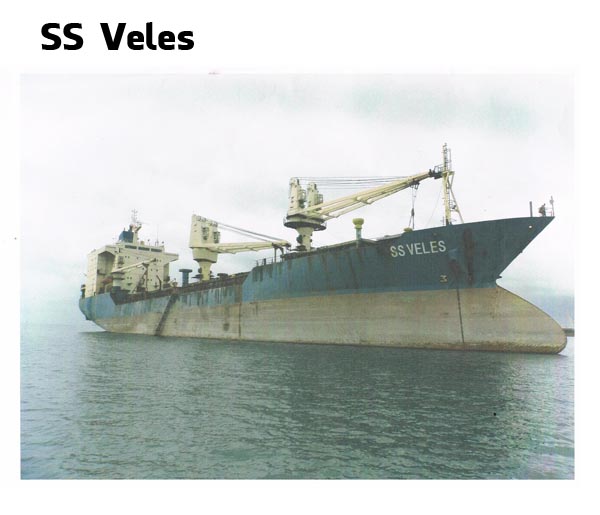 Rail Scraps/Ship Breaking Scrap Sellers & Exporters, Rail Scraps/Ship