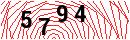 Security Verification