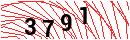 Security Verification