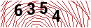 Security Verification