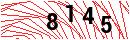 Security Verification