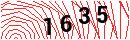 Security Verification
