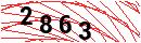 Security Verification