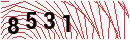 Security Verification