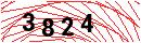 Security Verification