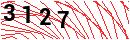 Security Verification