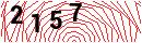 Security Verification