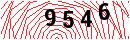 Security Verification