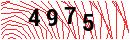 Security Verification