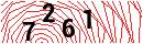 Security Verification