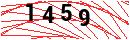 Security Verification