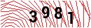 Security Verification