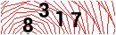 Security Verification