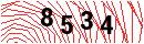 Security Verification