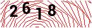 Security Verification