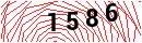 Security Verification