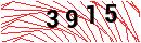 Security Verification