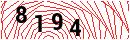 Security Verification
