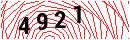 Security Verification