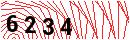 Security Verification