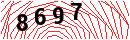 Security Verification