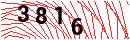 Security Verification