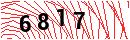 Security Verification