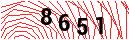 Security Verification