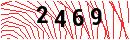 Security Verification