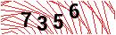 Security Verification