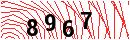 Security Verification