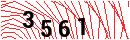 Security Verification
