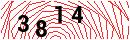 Security Verification