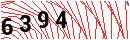 Security Verification