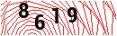 Security Verification