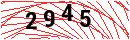 Security Verification
