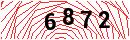 Security Verification
