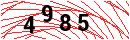 Security Verification