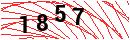 Security Verification