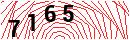 Security Verification