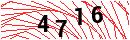 Security Verification