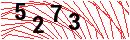 Security Verification