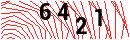 Security Verification