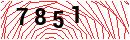 Security Verification