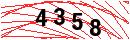 Security Verification