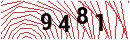 Security Verification