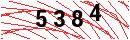 Security Verification