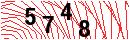 Security Verification