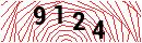 Security Verification